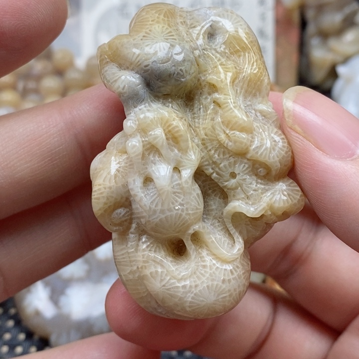 硅化珊瑚（珊瑚玉）颈饰未镶嵌