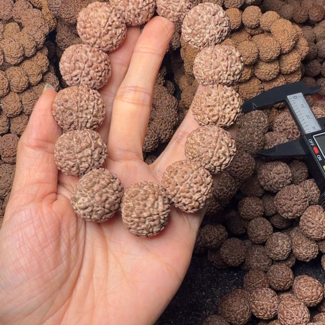 梦***丶金刚菩提手串8瓣卡23尺，117号