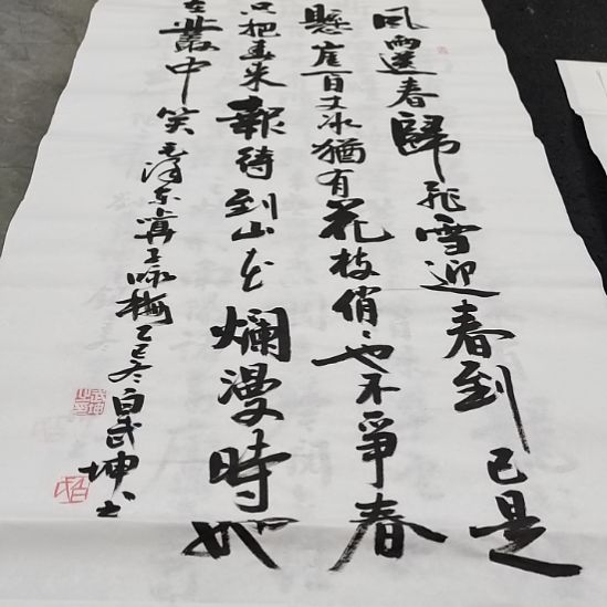 翰墨白武坤老师作品一副