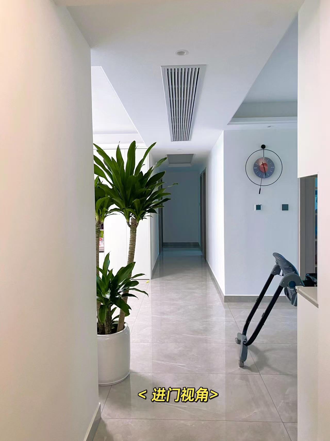 精品老桩室内绿植荷花铁