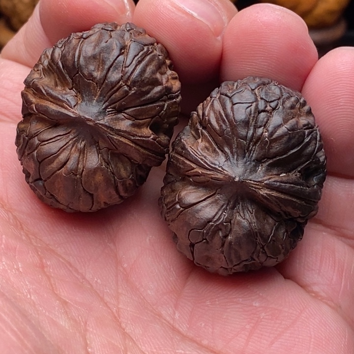 把件文玩核桃6蟒纹虎头元宝35尺