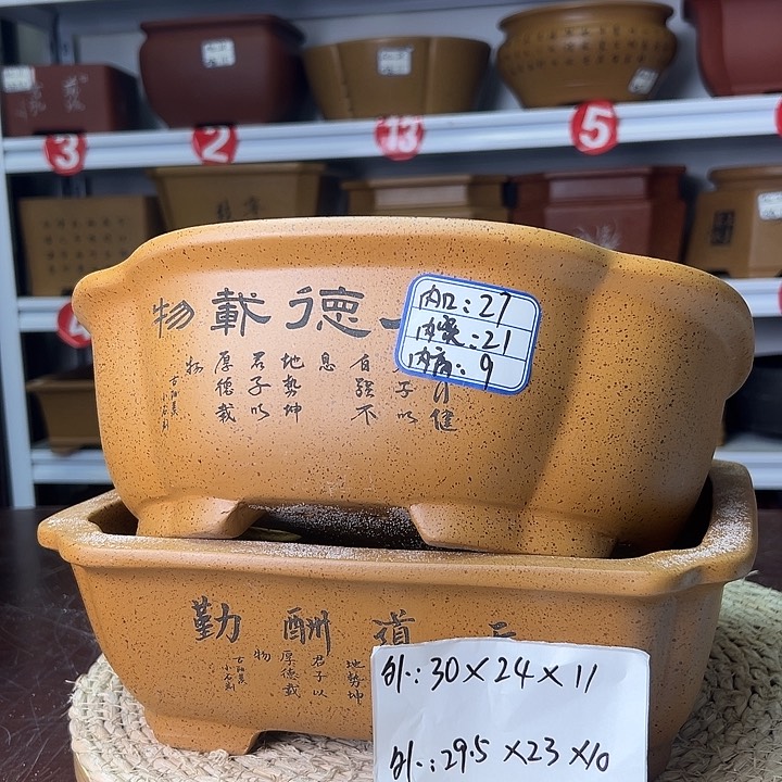 紫砂花盆蛇年大吉