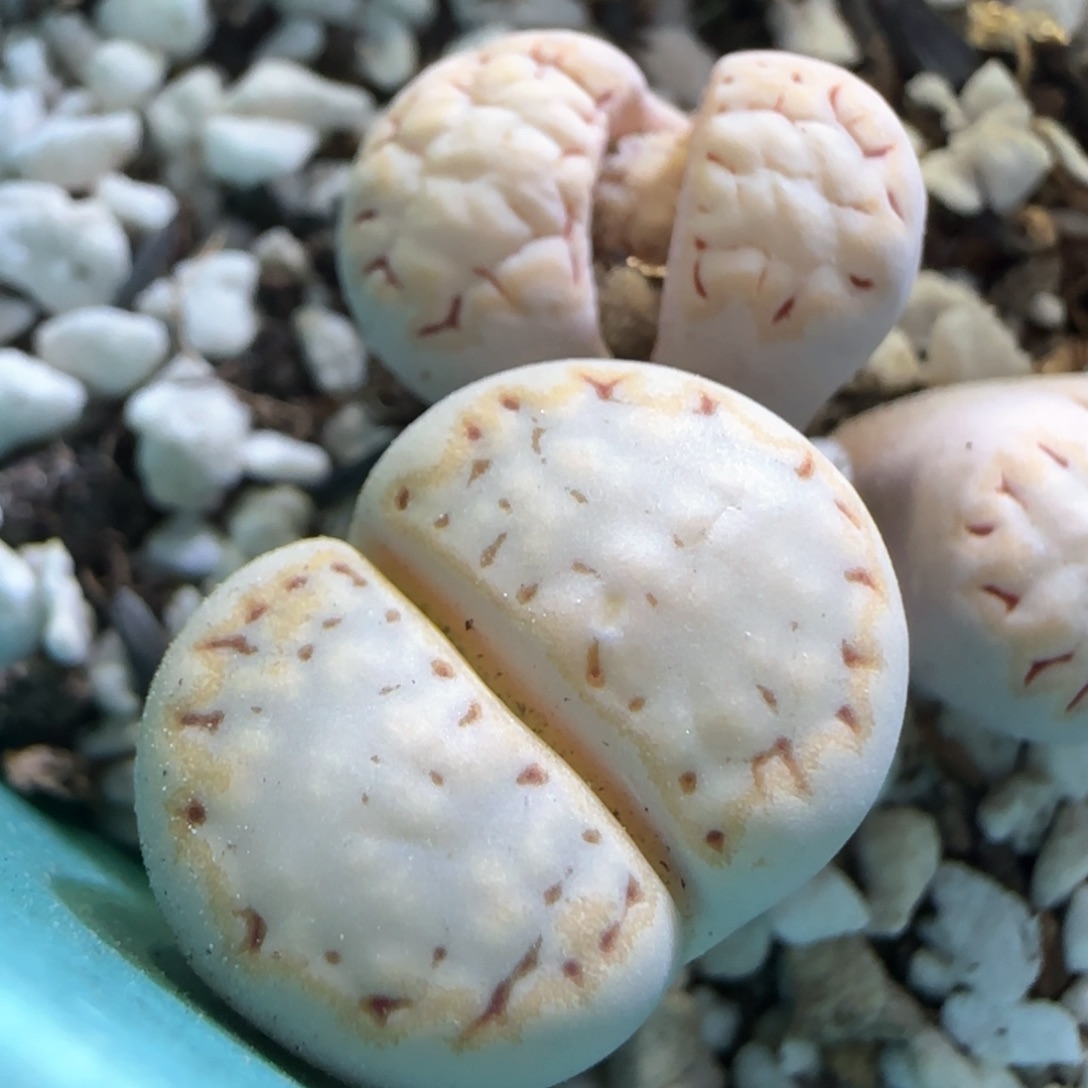 3。11。7014。 c 324。  