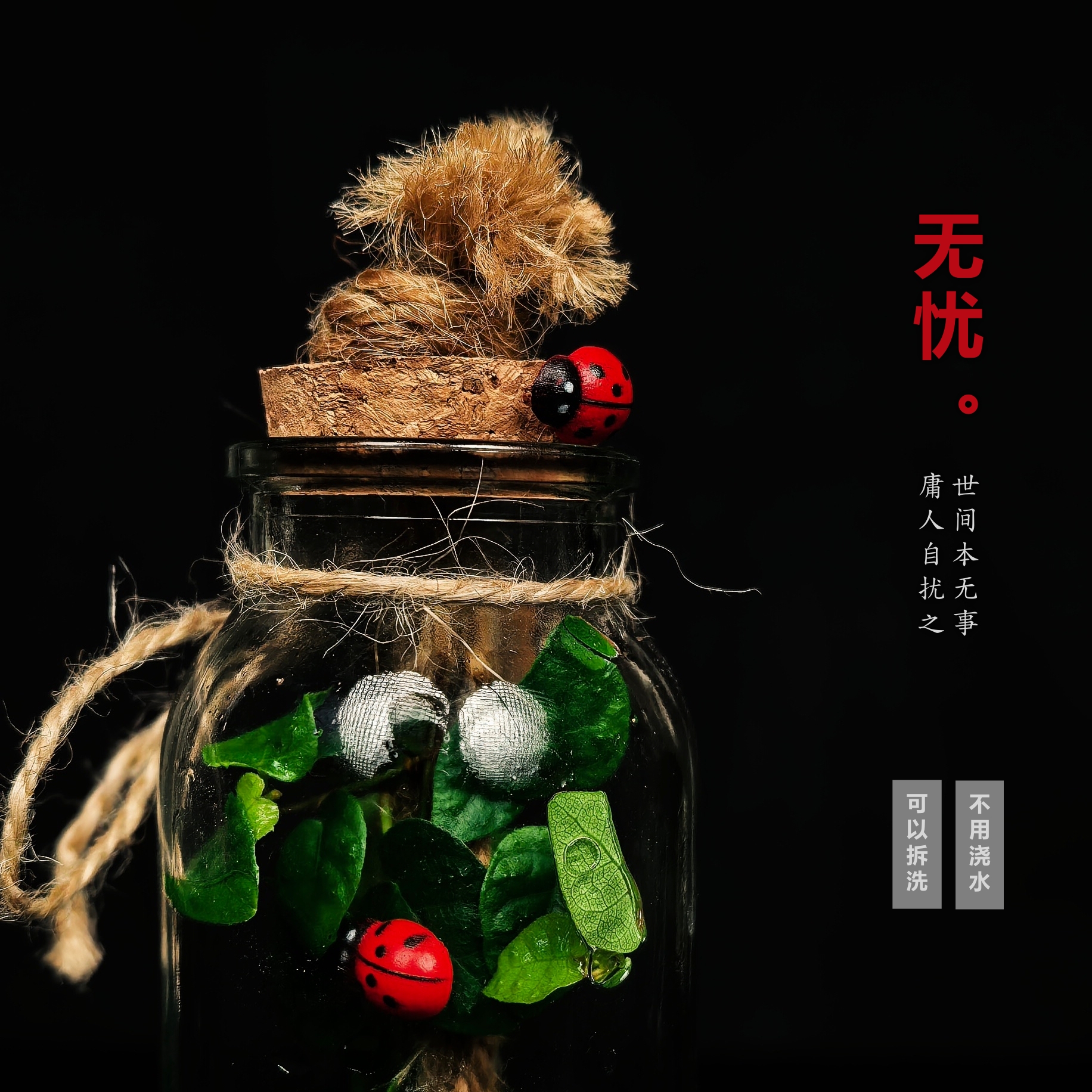 [无忧a]小叶薜荔可拆洗无需浇水创意绿植桌面国风禅意摆件5*17cm