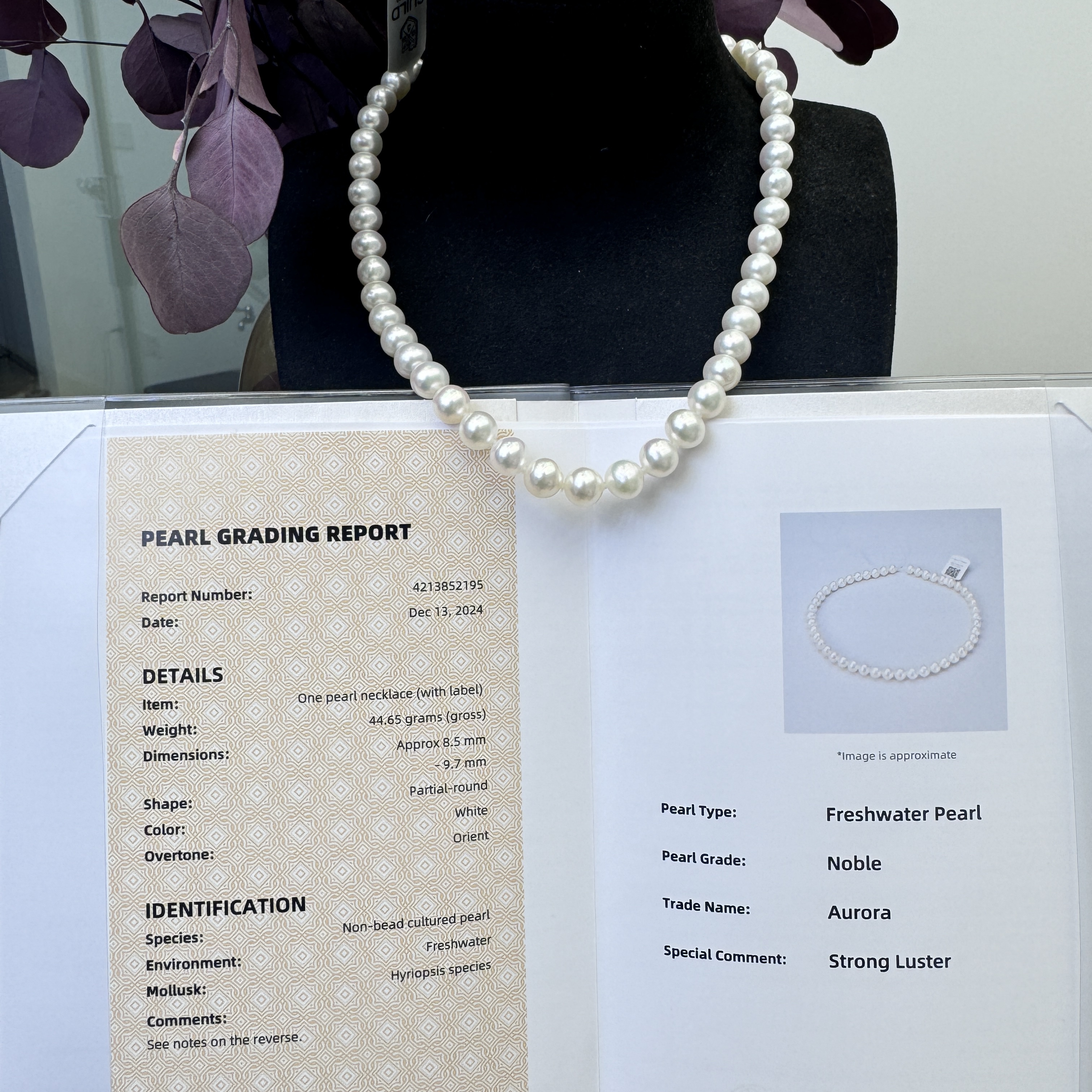 吉尔德五星特选 欧若拉8-10mm 天然淡水无核珍珠项链