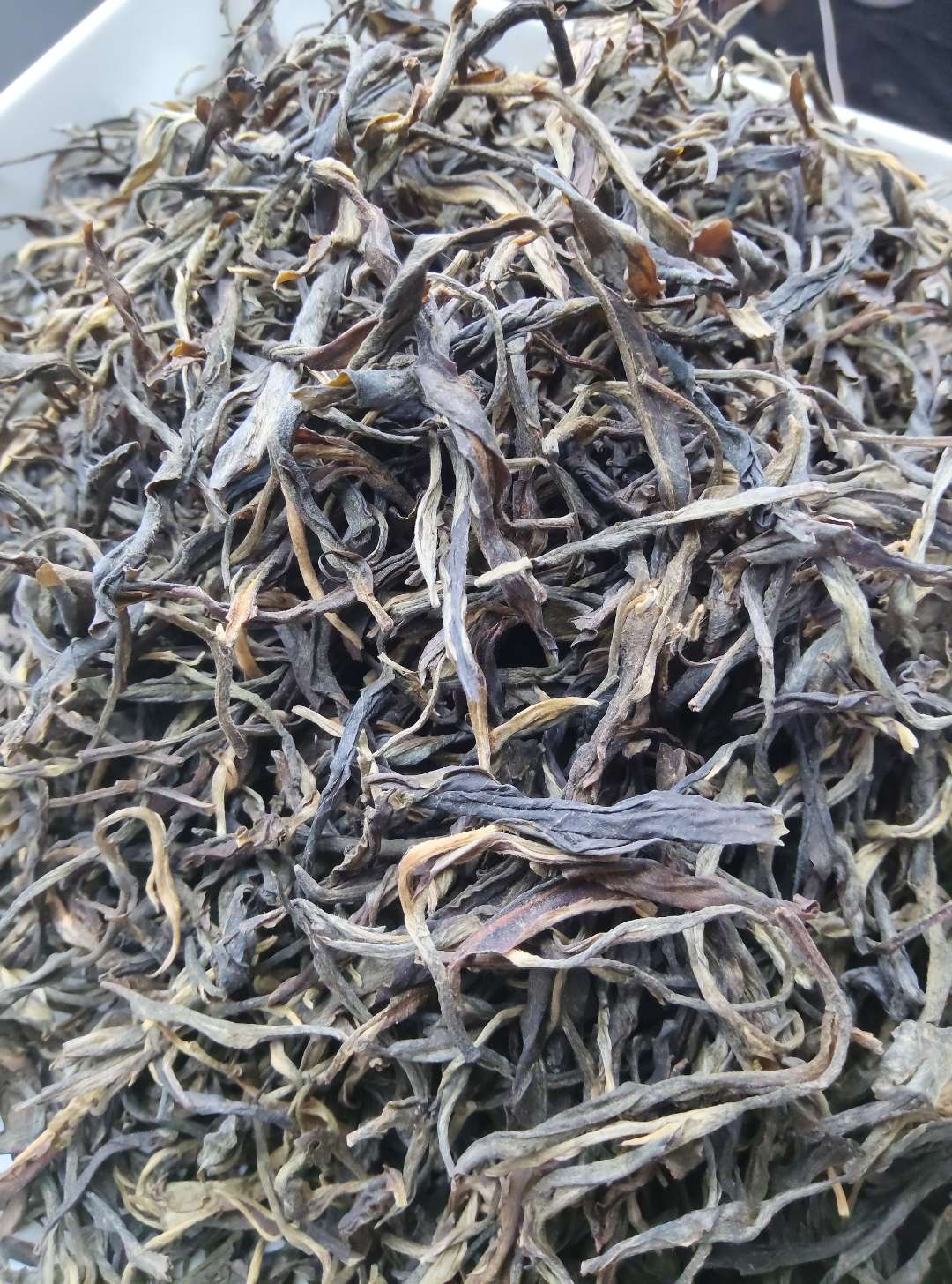 2025年  易武 秘境高杆  普洱茶 生茶散茶 