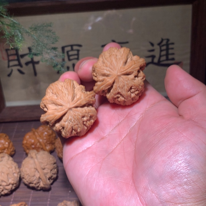 全品43大粗筋麻核桃