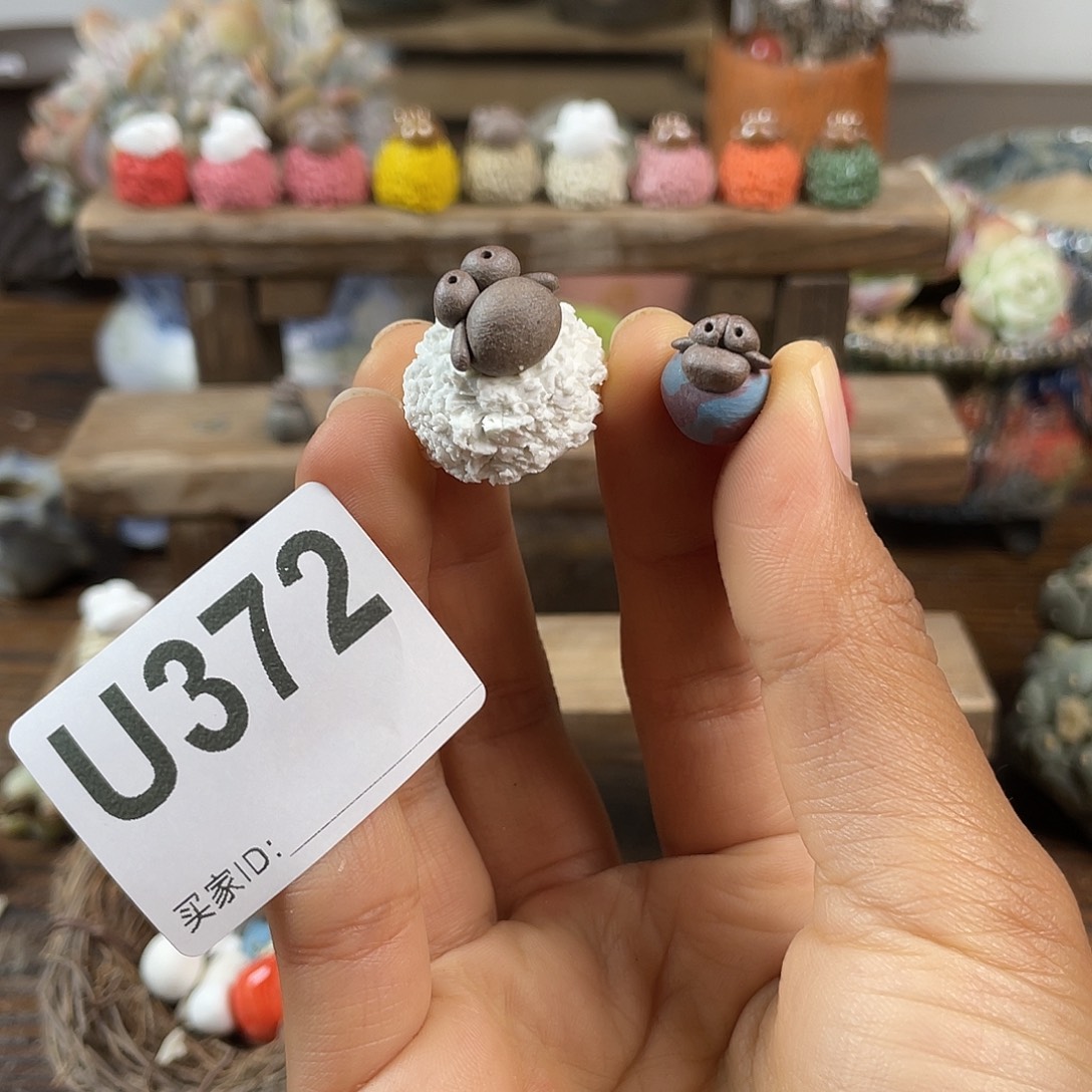 M***Y压盆石 哈哈哈哈哈哈哈哈哈