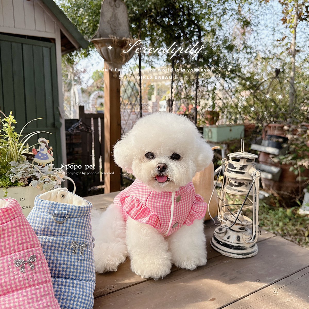 粉蓝格纹立领马甲!清新可爱 时尚保暖 秋冬宠物衣服猫咪狗狗棉服