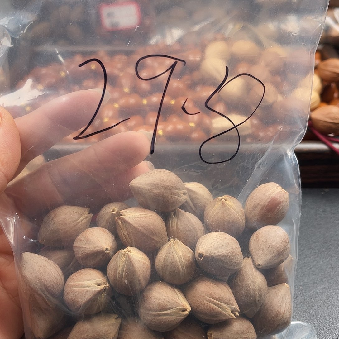 吊坠龙脊菩提橄榄树和树种