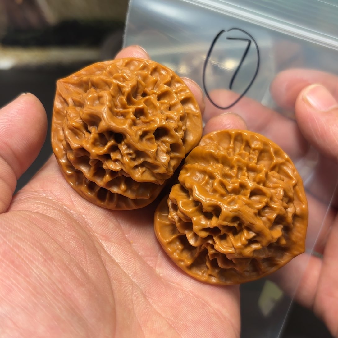 核桃其他帝王狮子头