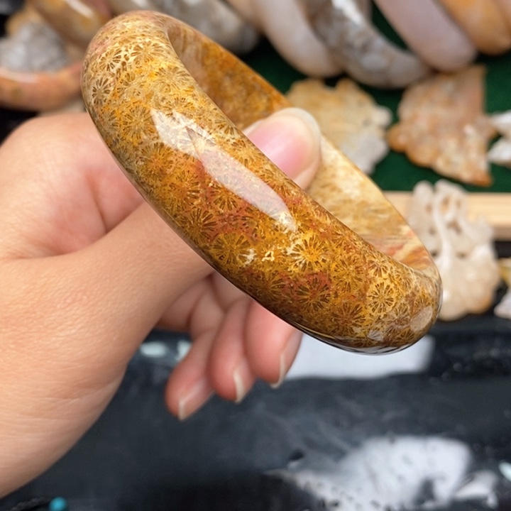 硅化珊瑚（珊瑚玉）手镯未镶嵌58.4