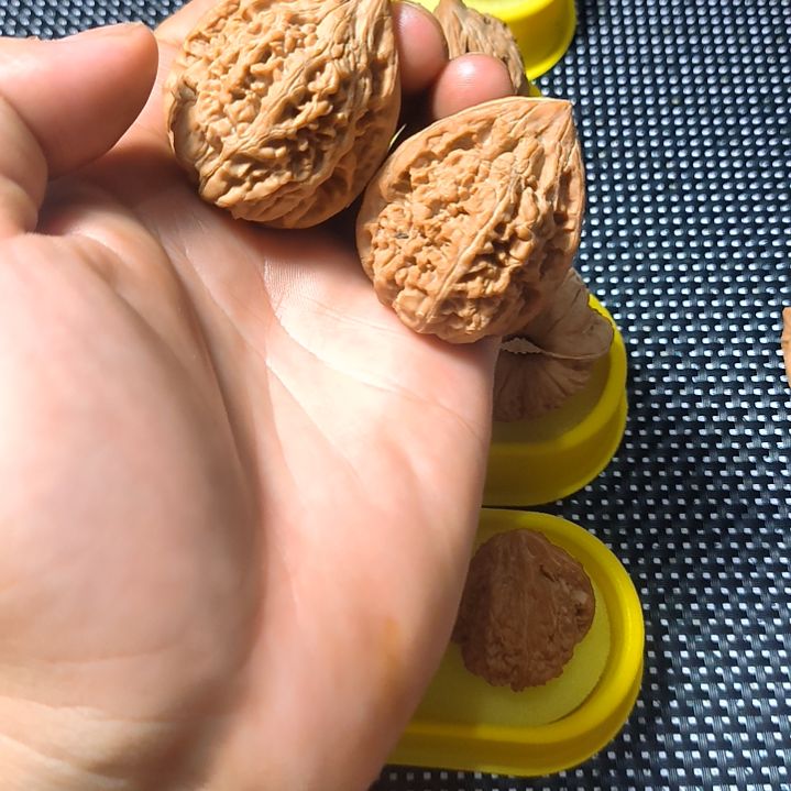 吊坠桃核文玩核桃 凤凰台