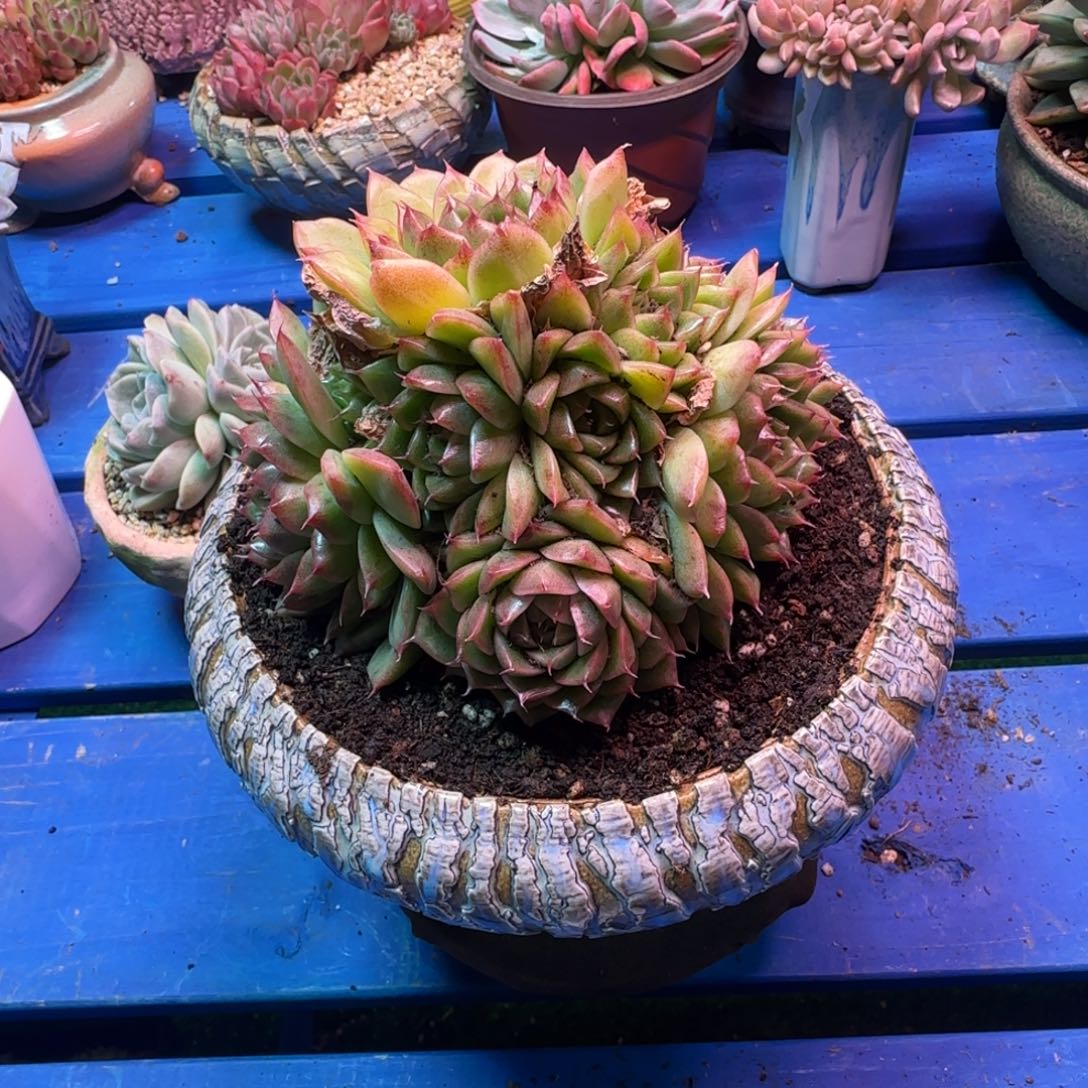 你在哪呢啊怎么了你