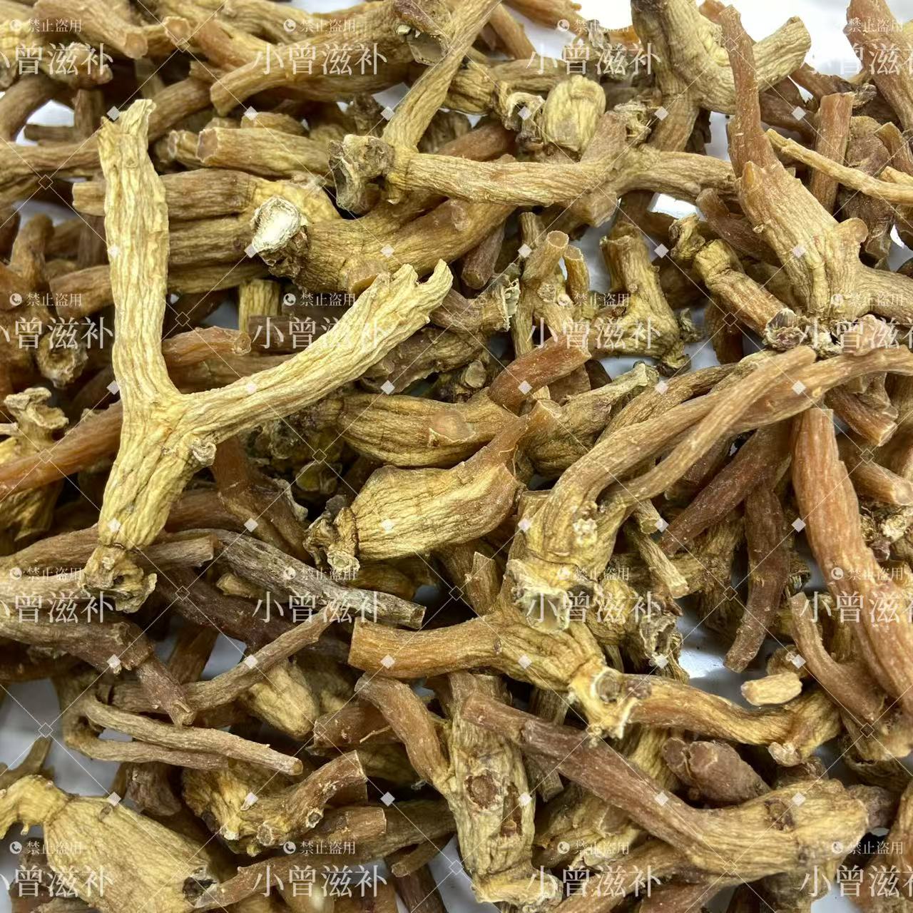 【小曾优选】龙爪参