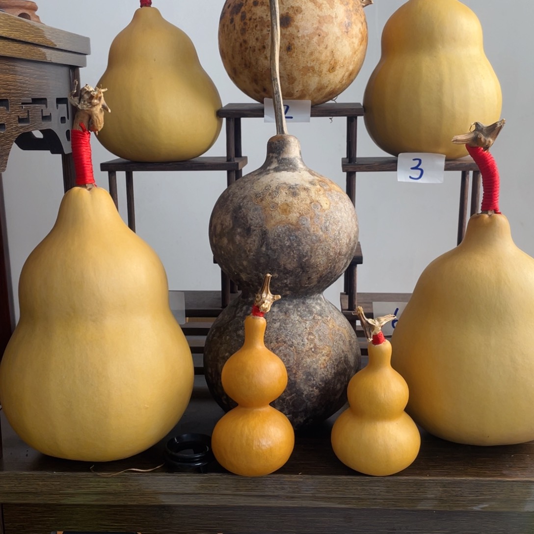 香榧木任***羊葫芦