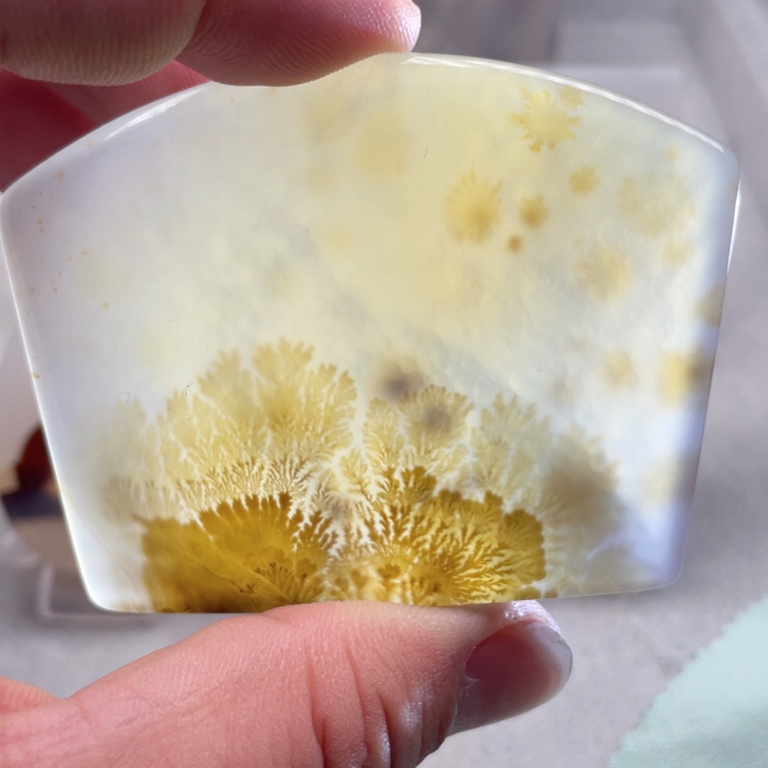 【闪购商品】玛瑙/玉髓颈饰合金