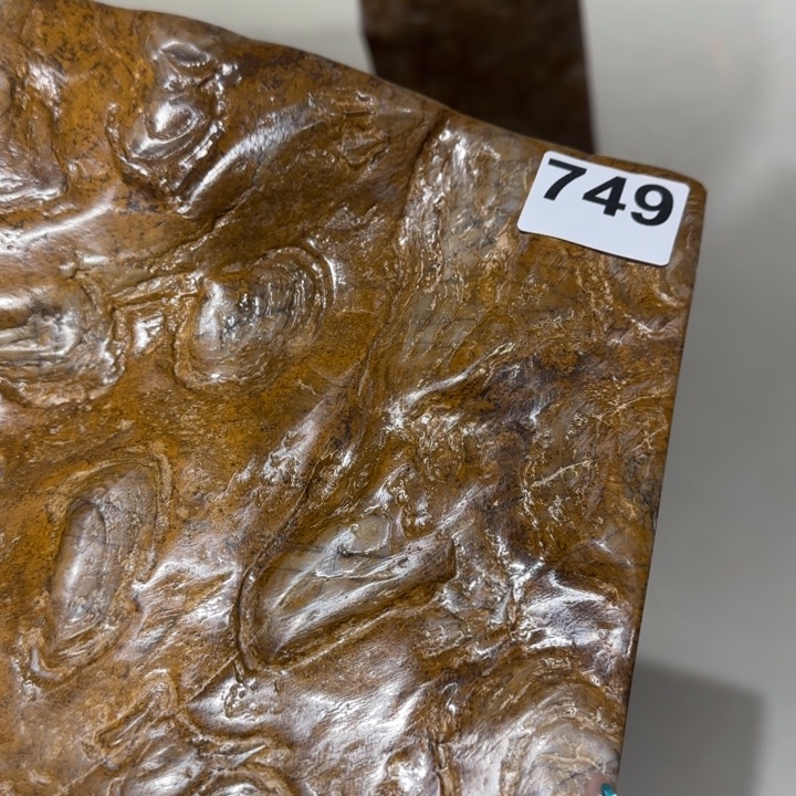 111111111用****21111111111