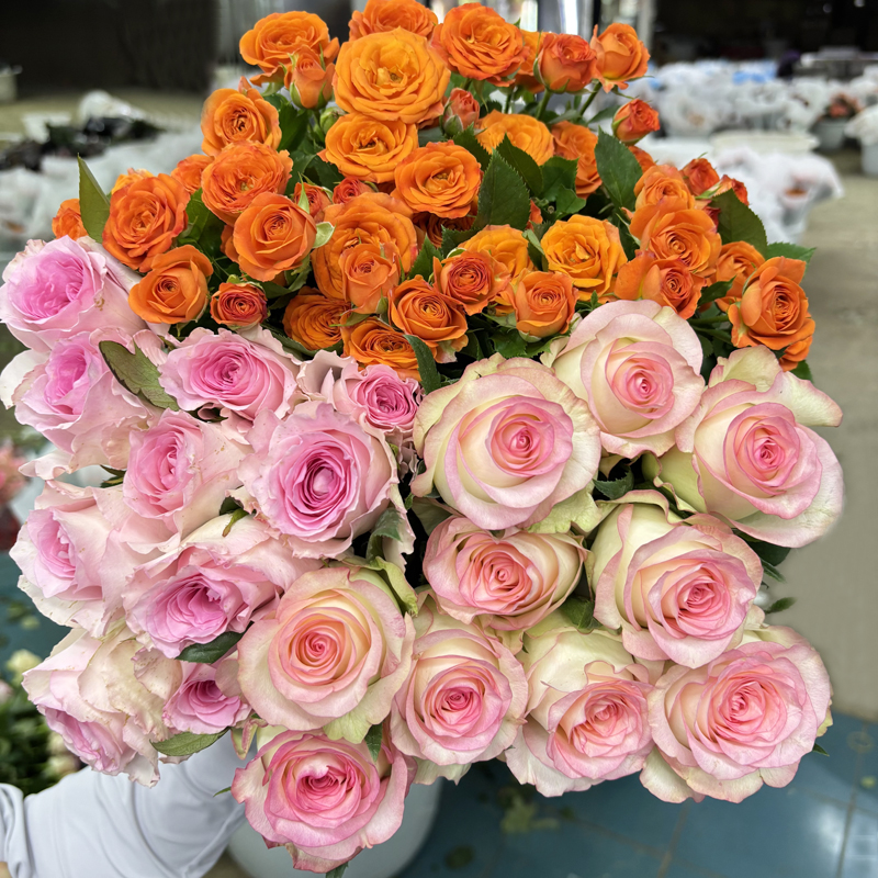 【玫瑰组合】单头玫瑰新鲜鲜花花束云南昆明基地直发客厅装饰水养花