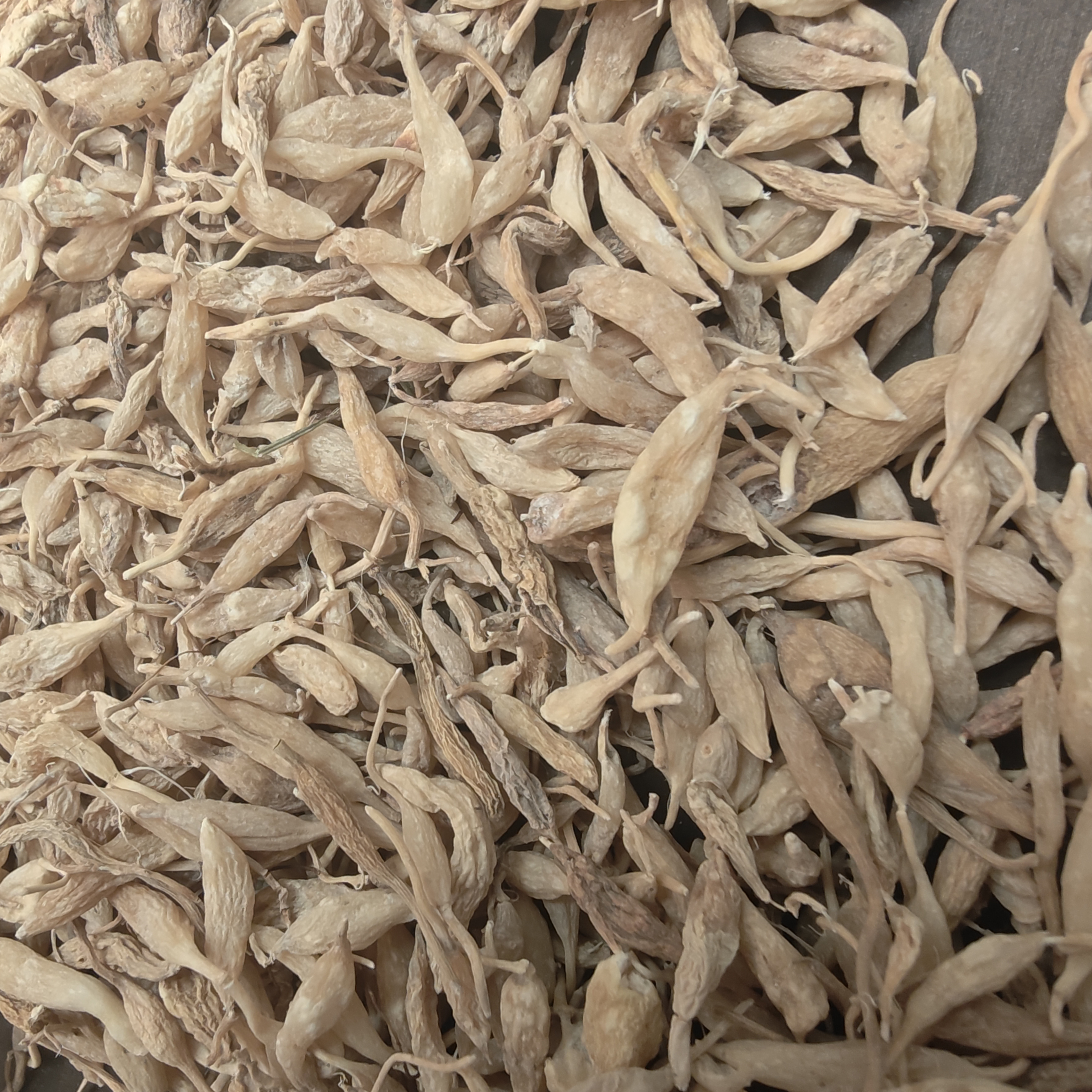 臻品汇滋补鱼胶花胶干货-正宗野生麦冬无硫干货可泡水煮水滋补