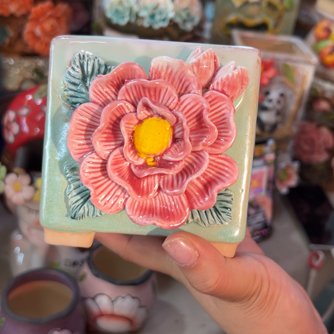 满20米秒退拉黑花盆