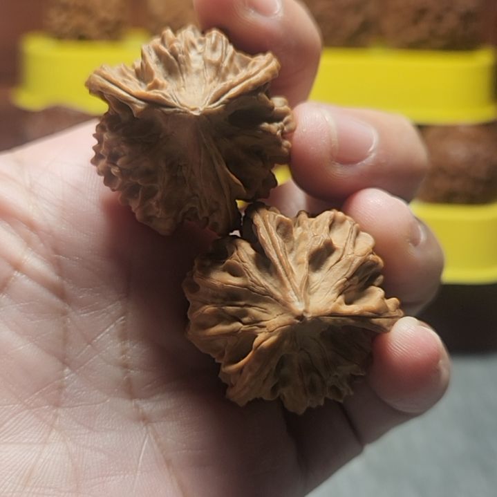 把件文玩核桃三棱