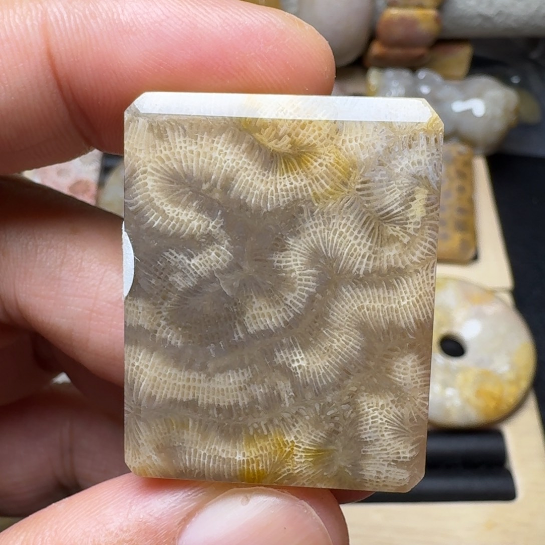 硅化玉未镶嵌纯天然色有机玉石保真色