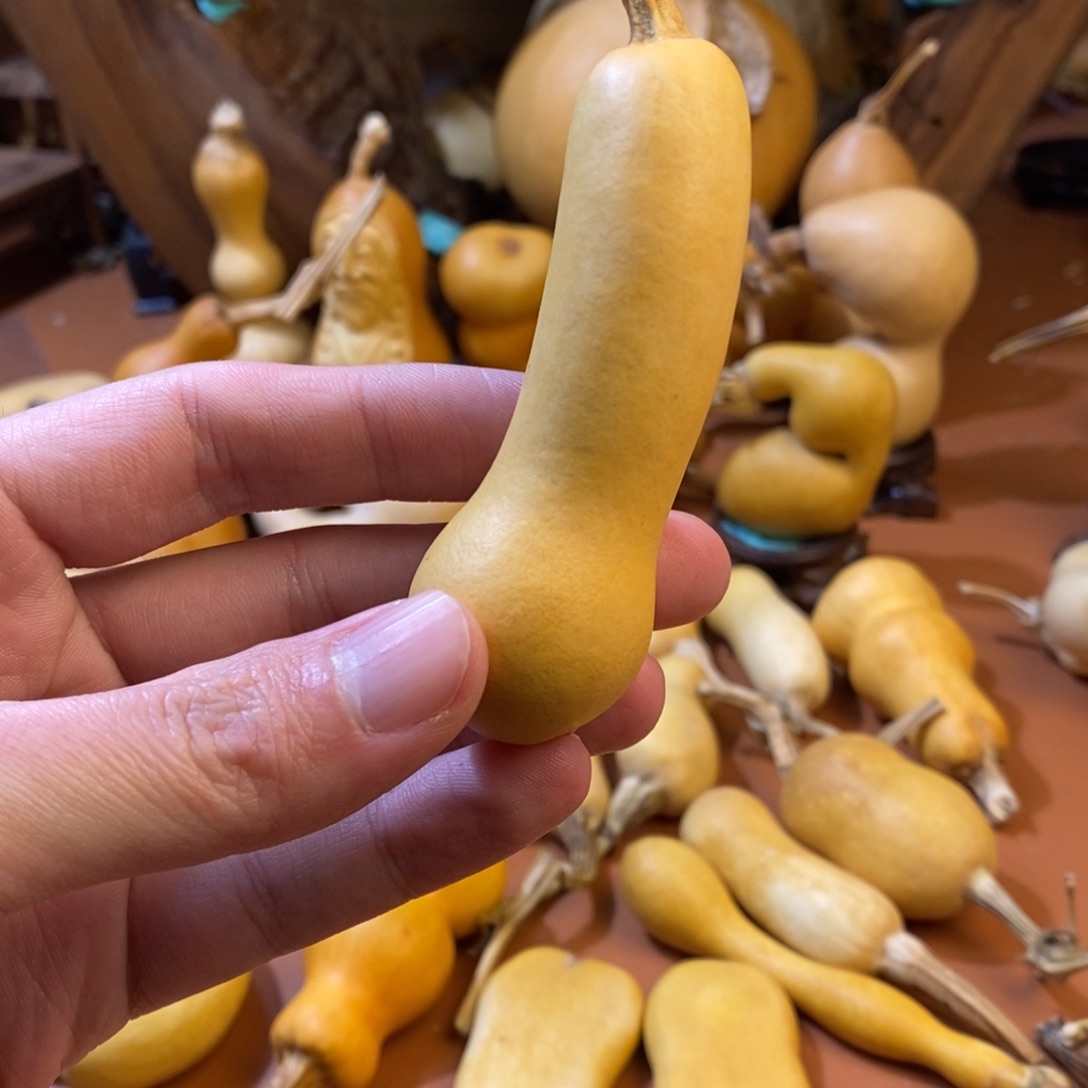 是***啊教练教练教练教练经理