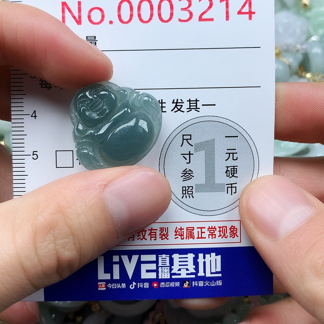 翡翠未镶嵌颈饰3214