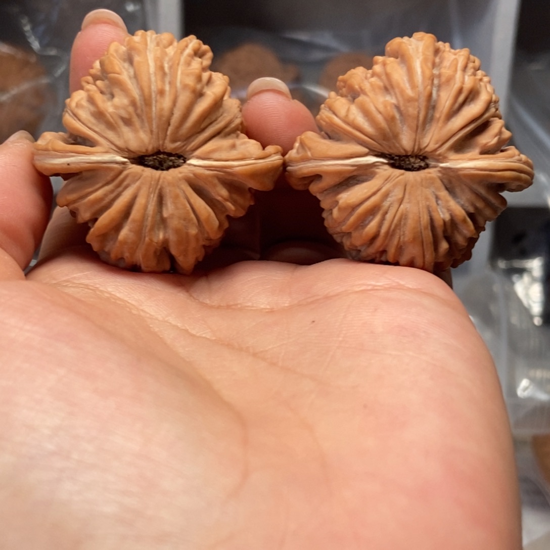 吊坠文玩核桃全品楼40 福利