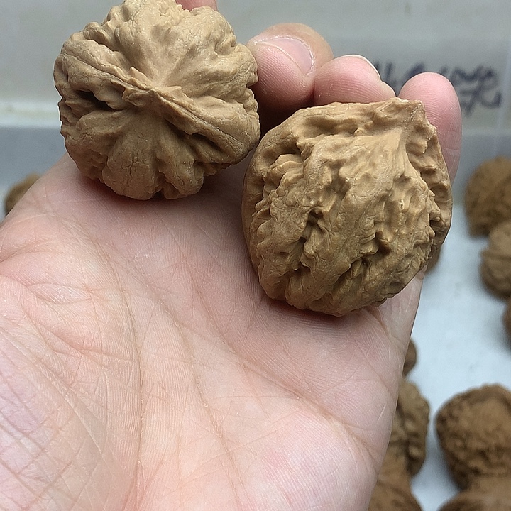 文玩核桃吊坠高桩霸王龙