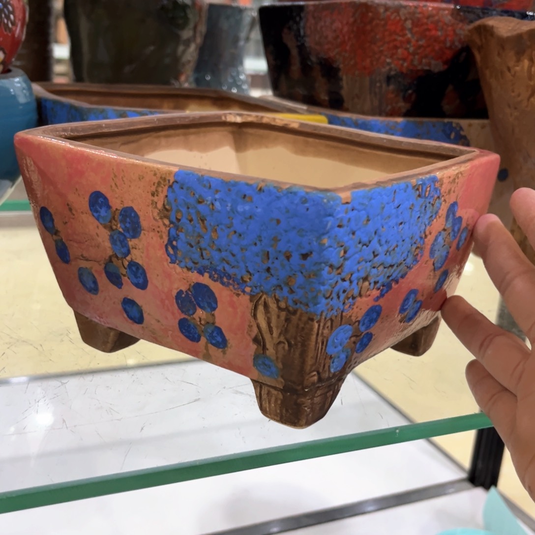 红陶福利福利福利福利