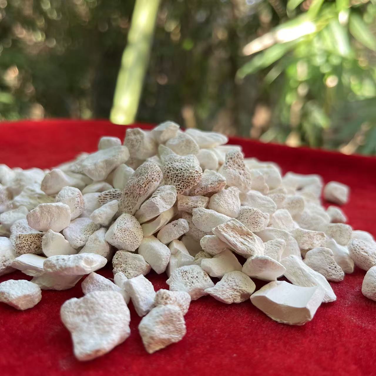 1【龙-骨】净含量：100g-1000g【阿徐现收】