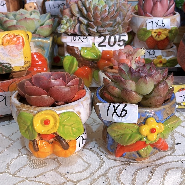 多肉花盆，满15包邮