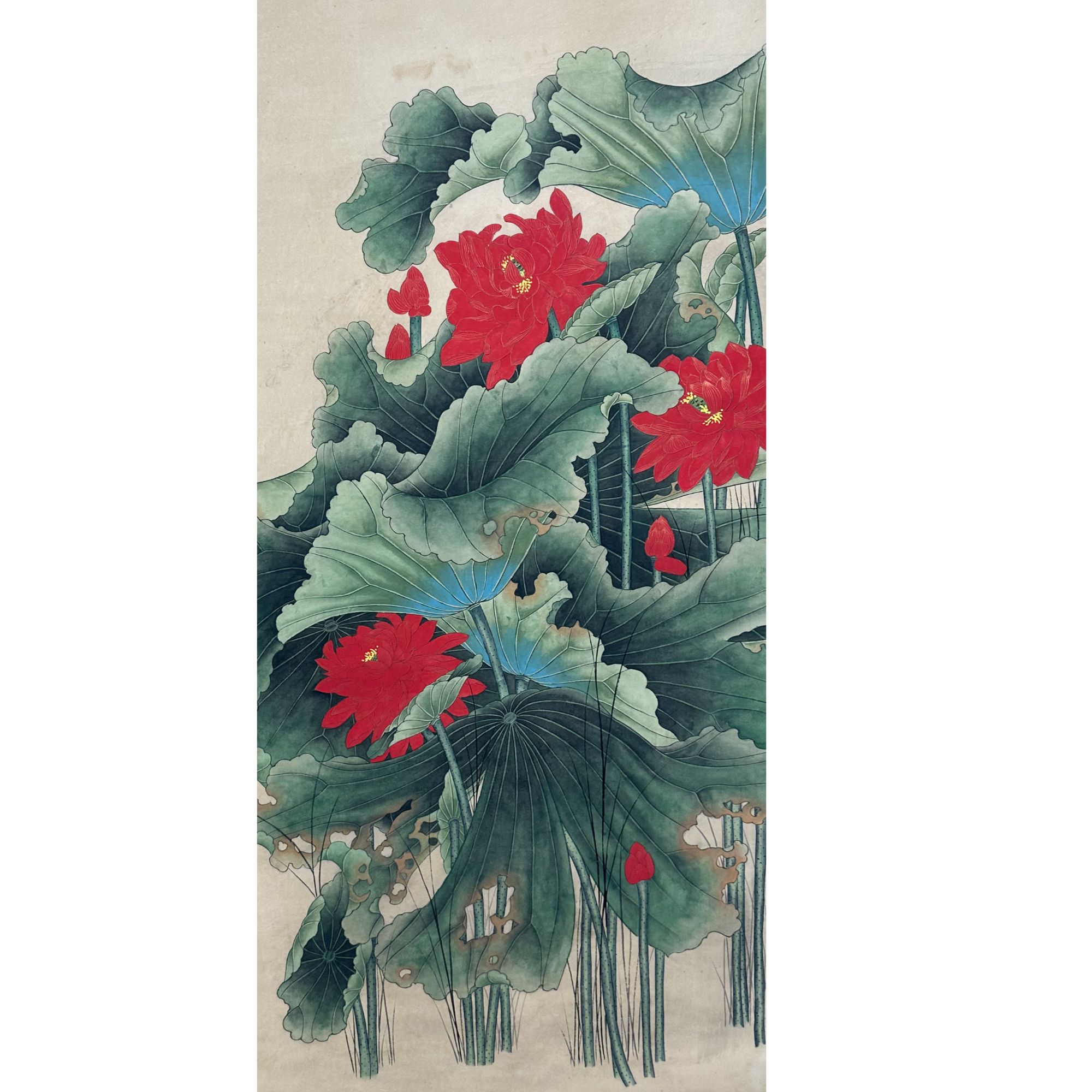 DL11015 稚柳 花鸟 纸本66*130