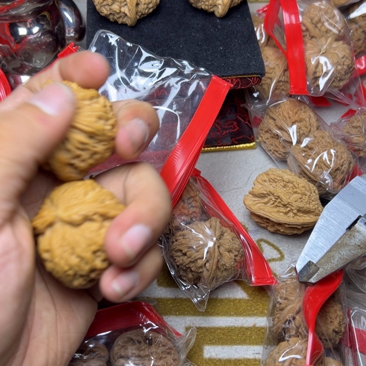 D****鼬吃几口vv好好过bk bv