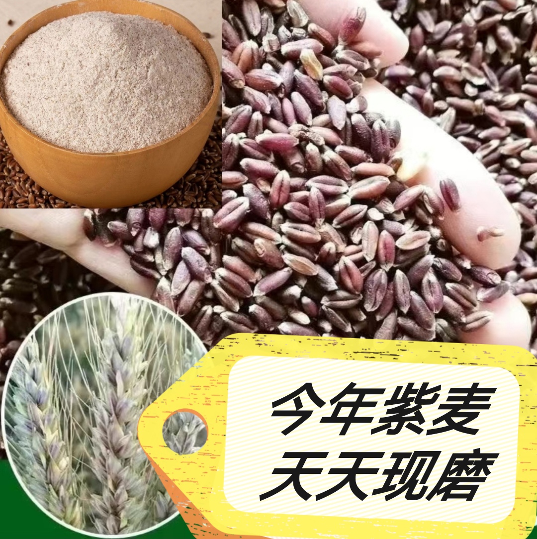 【紫麦全麦面粉】富硒紫麦全麦面粗粮馒头粉农家粗粮面粉