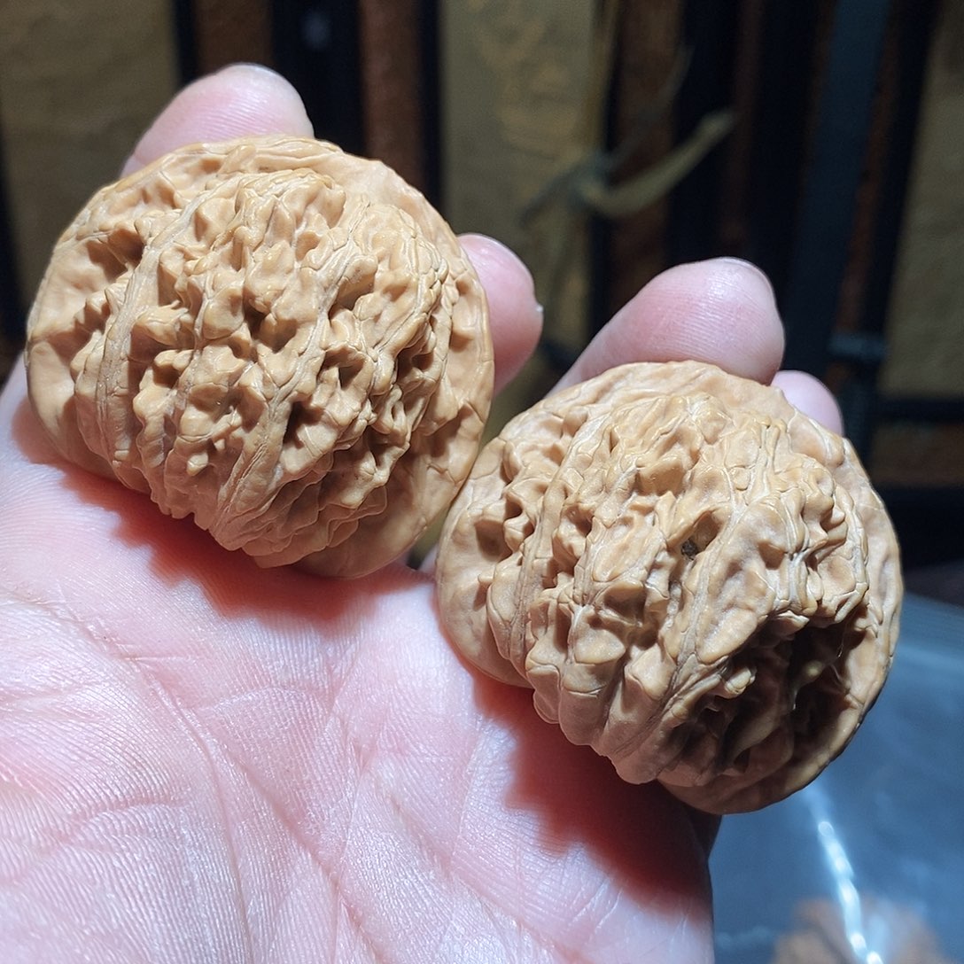 文玩核桃把件L**145四座楼全品