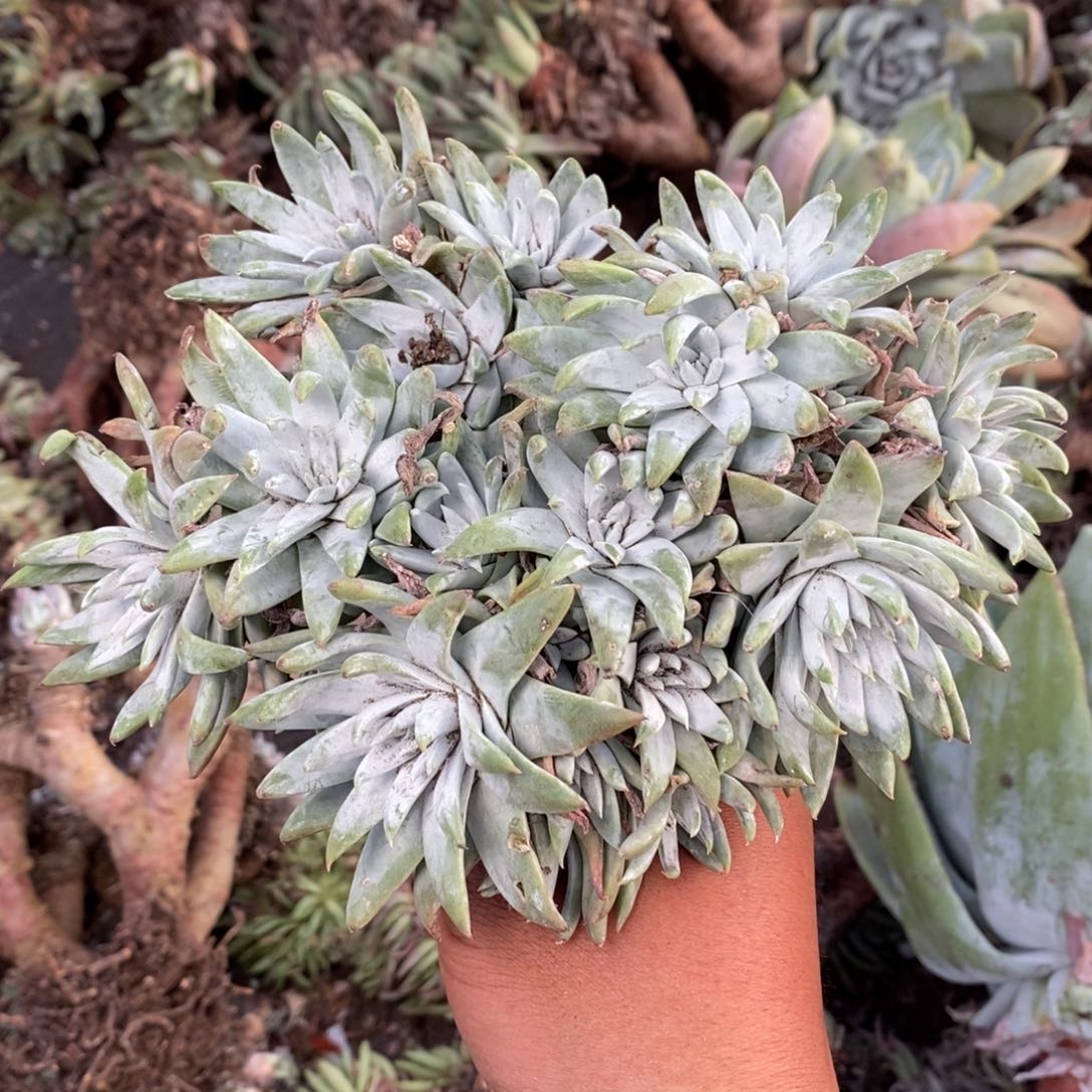 149哈哈哈哈哈哈哈哈哈