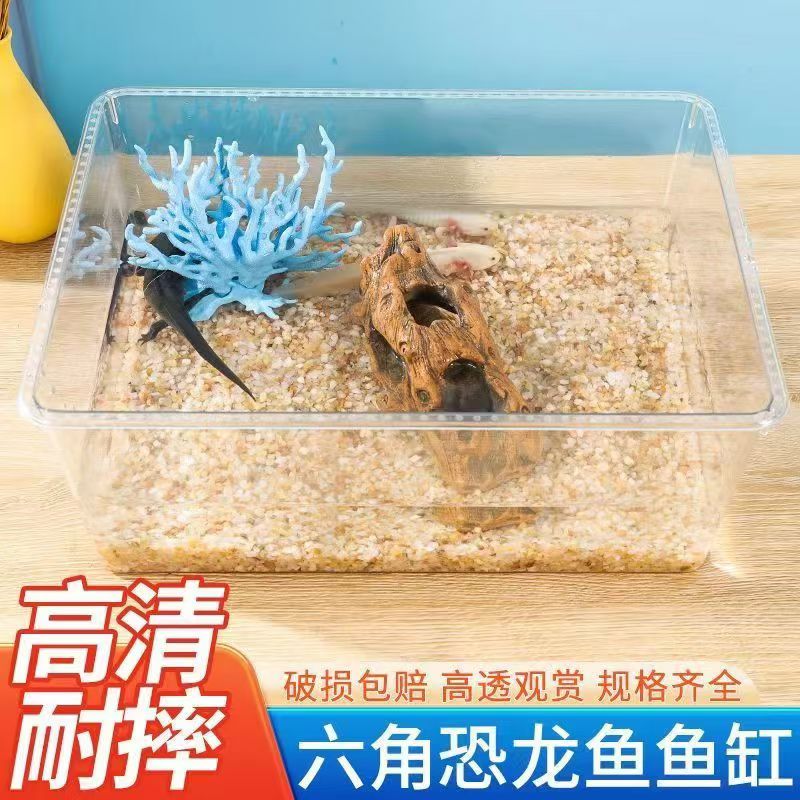 观赏鱼专用鱼缸水族