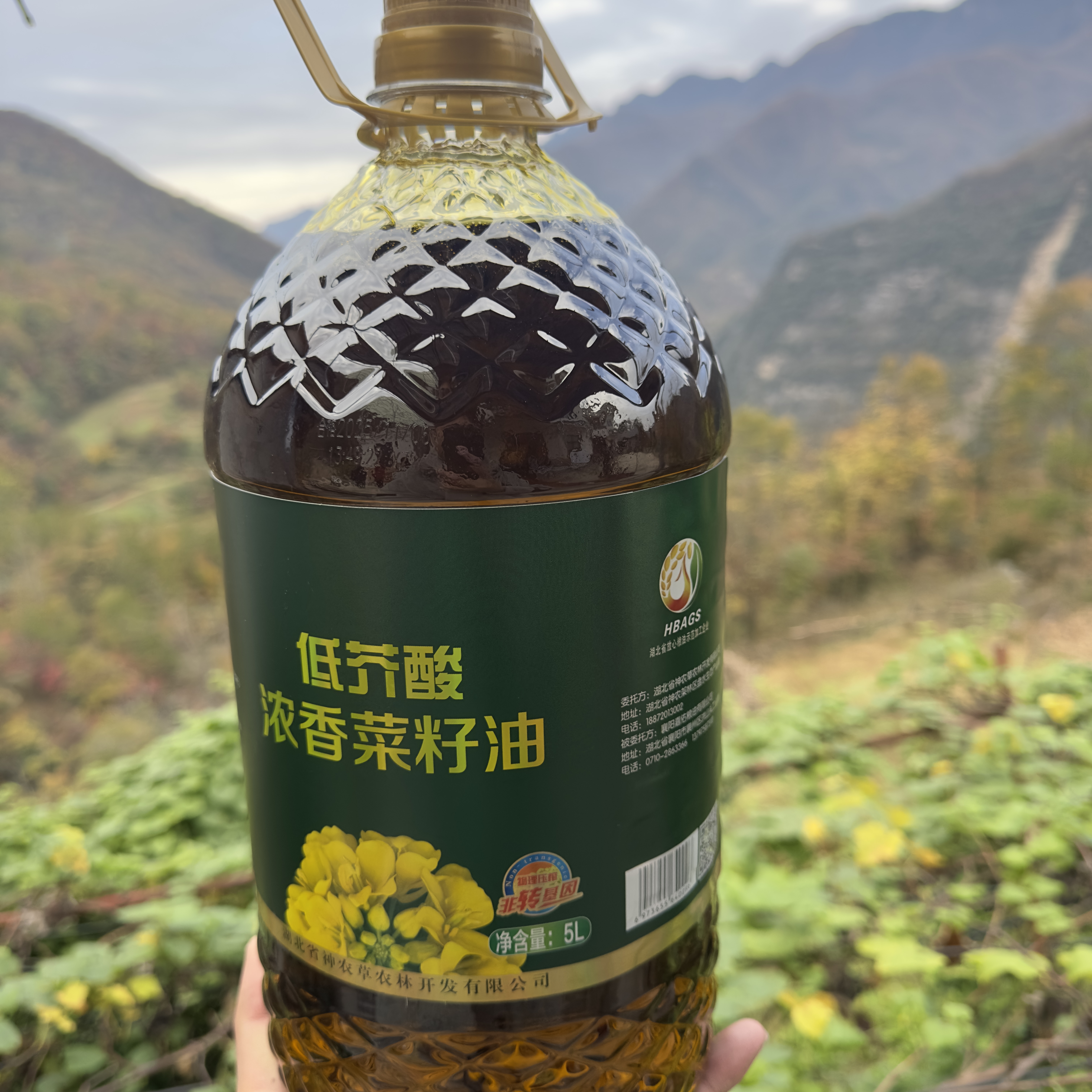 【菜籽油】神农架老乡小菜子熟压菜籽油【小黄村长代卖】