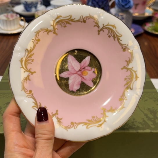 瓷片茶杯茶杯茶杯茶盏茶