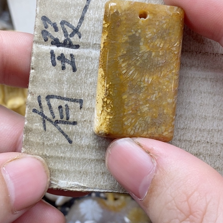 颈饰未镶嵌硅化珊瑚（珊瑚玉）苦*茶小