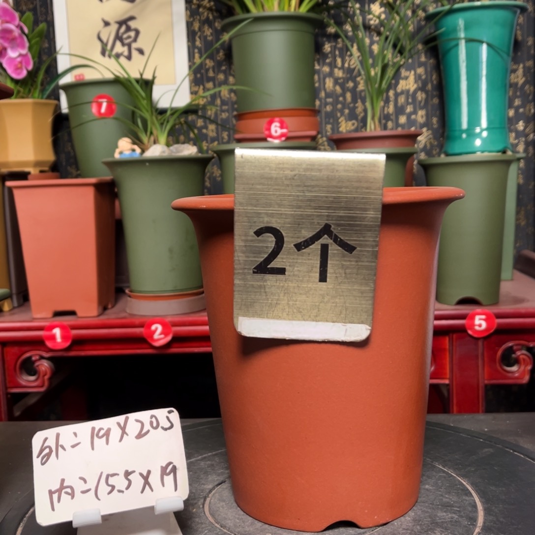 紫砂花盆紫砂花盆