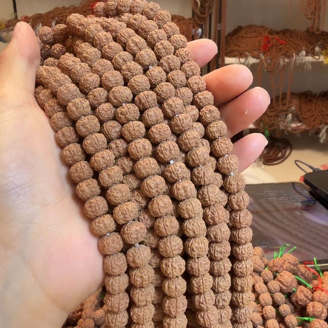 金刚菩提吊坠勿里达纯血树王1条保全品手持