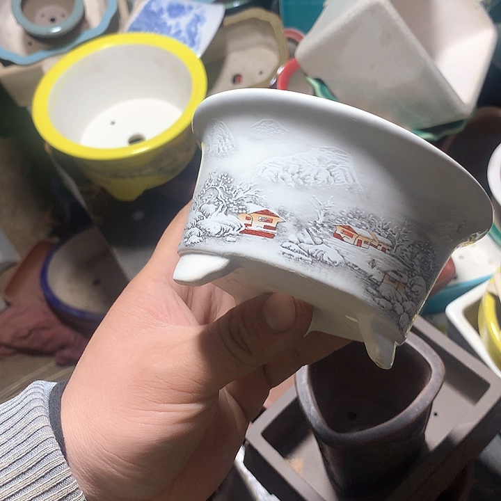 紫砂优秀青年科技人才创新人才