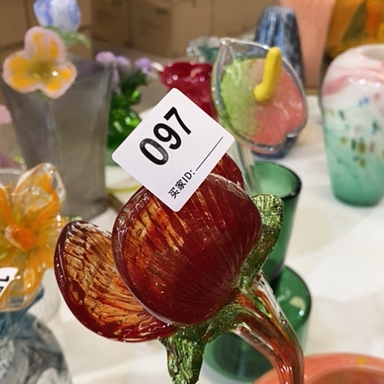 琉璃红色鸢尾花高48