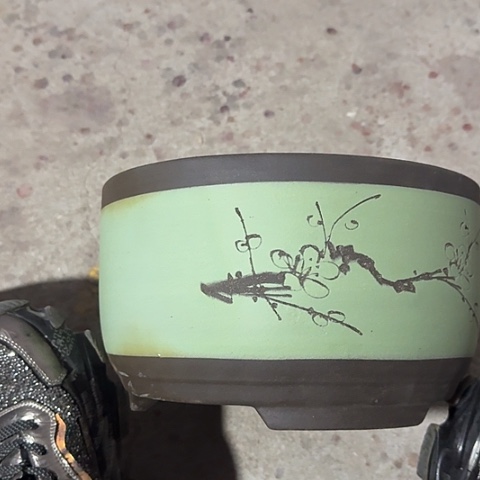 紫砂宜兴紫砂花盆苹果绿萝大