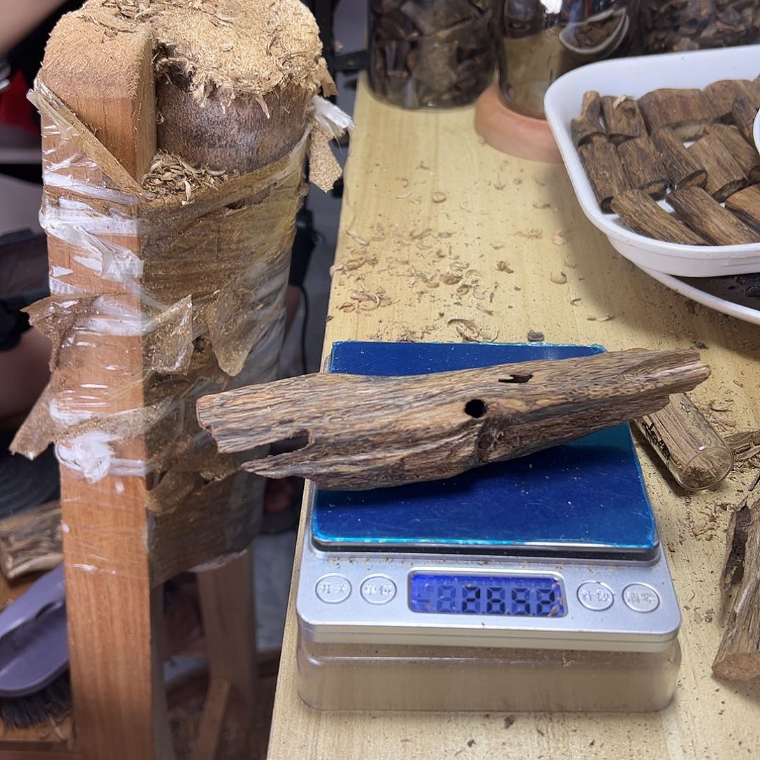 香料绿棋楠虫漏26克白棋