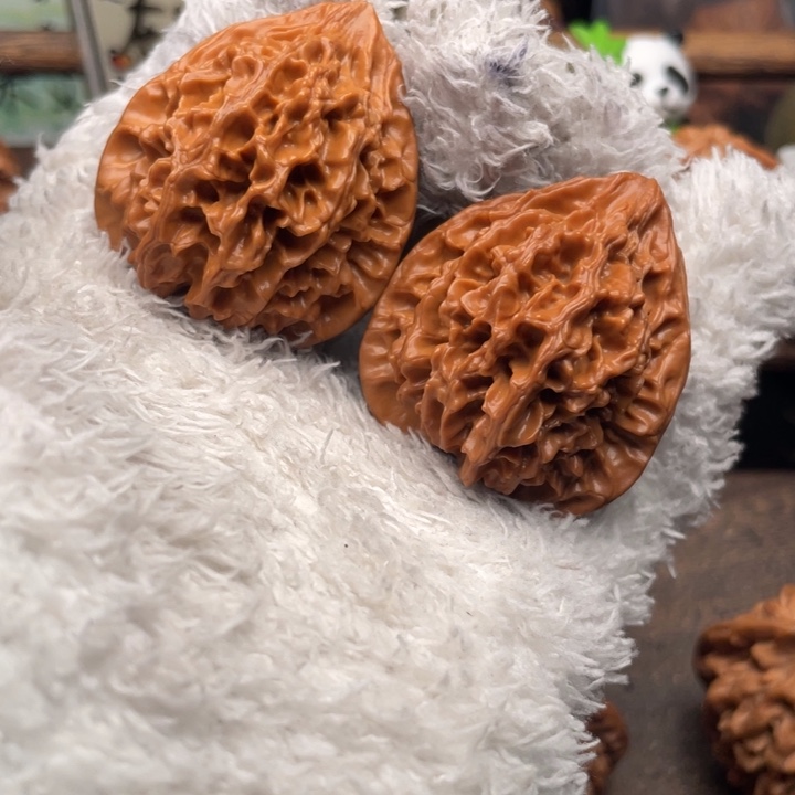  ***光核桃39尺秦岭野生胖鸡打底福利